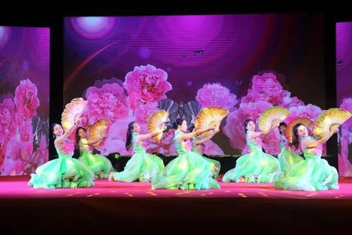 文艺演出闪耀人道光辉 大溪红十字主题文艺汇演